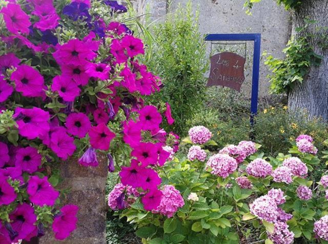 Bed and Breakfast Les Quatre Saisons Moitron-sur-Sarthe Exterior foto